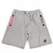 Спортивные мужские шорты Pittsburgh Shorts (Gray)  Gorilla Wear  SH-661 фото 1