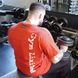 Спортивная мужская футболка T-Shirt "Gym" (red/white) Brachial F-776 фото 7