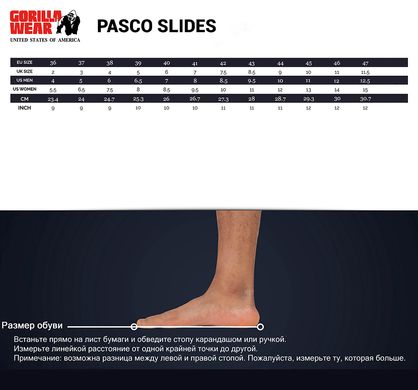 Спортивные унисекс шлепанцы Pasco Slides (Black) Gorilla Wear  SSp-992 фото