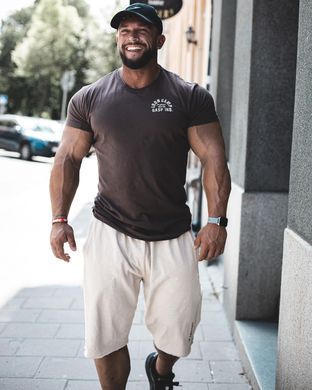 Спортивні чоловічі шорти Throwback shorts (Cement) Gasp SwS-420 фото