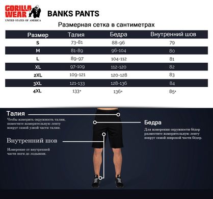 Спортивні унісекс штани Banks Sweatpants (Burgundy) Gorilla Wear Sp-1117 фото