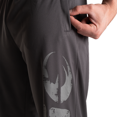 Gasp Original mesh pants (Grey) спортивные мужские брюки для бодибилдинга MhP-212 фото