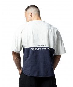 Спортивная мужская футболка Rag Top POWER  (white) Legal Power F-1020 фото