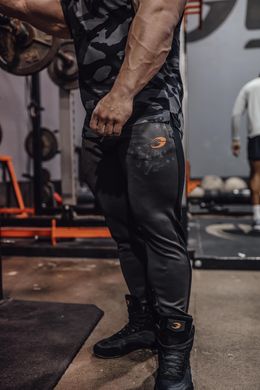 Спортивні чоловічі штани Iron Joggers (Dark Grey) Gasp JP-388 фото