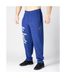 Спортивные мужские штаны BODY PANTS "BOSTON" (Royal Blue) Legal Power  BP-406 фото 1