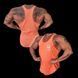 XXXL Explosivefibres "Stone Washed" Muscle vest (Orange) спортивна чоловіча майка для бодібілдингу. M-1464 фото 1