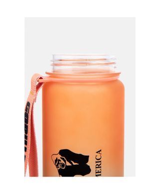 Gorilla Wear Gradient bottle (Green/Orange) спортивная бутылка для воды. SB-1452 фото