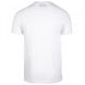 Спортивна чоловіча футболка Davis T-Shirt (White) Gorilla Wear    F-613 фото 2