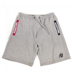 Спортивні чоловічі шорти Pittsburgh Shorts (Gray)  Gorilla Wear  SH-661 фото