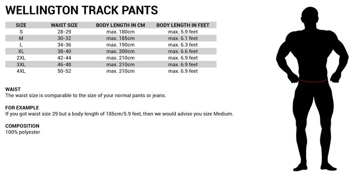 Спортивные мужские штаны Wellington Track Pants (Black) Gorilla Wear TP-766 фото