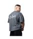 Спортивная мужская футболка Rag Top LpLimits (Anthracite) Legal Power F-2021 фото 3