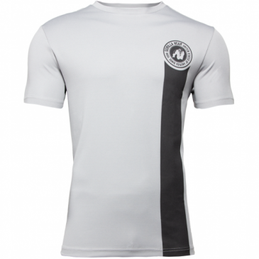 Спортивная мужская футболка Forbes T-shirt (gray)  Gorilla Wear F-779 фото