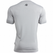 Спортивная мужская футболка Forbes T-shirt (gray)  Gorilla Wear F-779 фото 2