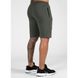 Спортивные мужские шорты Milo Shorts (Green) Gorilla Wear SwS-1043 фото 3