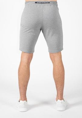 Спортивні чоловічі шорти Cisco Shorts (Gray) Gorilla Wear  SH-80 фото