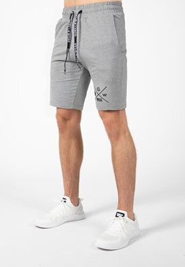 Спортивные мужские шорты Cisco Shorts (Gray) Gorilla Wear  SH-80 фото