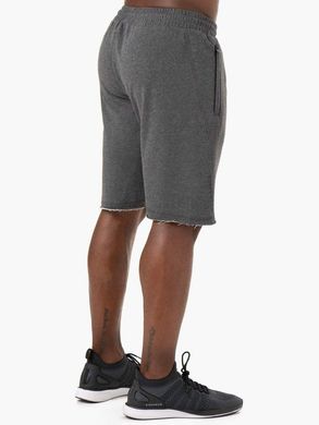 Спортивные мужские шорты IRON TRACK SHORTS (CHARCOAL) Ryderwear TSh-475 фото