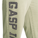 Спортивні чоловічі штани  Acid Logo Sweatpant /R (Green) Gasp SwP-1061 фото 5