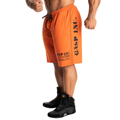 Спортивные мужские шорты Thermal shorts (Flame) Gasp  TSh-785 фото