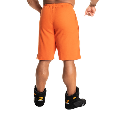 Спортивні чоловічі шорти Thermal shorts (Flame) Gasp  TSh-785 фото