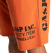Спортивные мужские шорты Thermal shorts (Flame) Gasp  TSh-785 фото 4