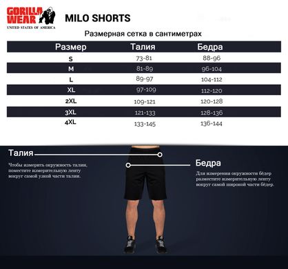 Спортивные мужские шорты  Milo Shorts (Black/Gray) Gorilla Wear   SwS-1042 фото