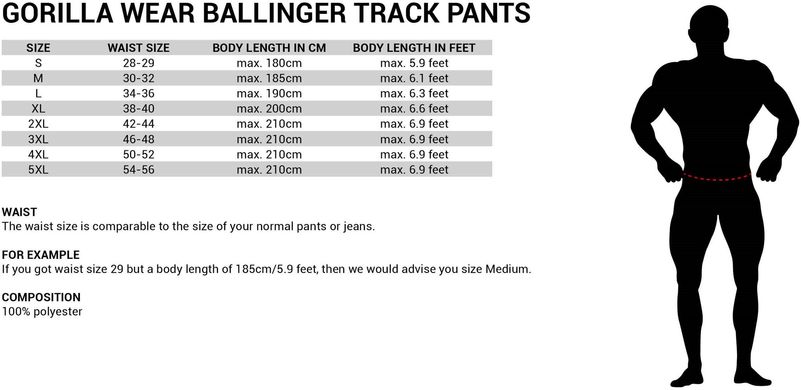 Спортивные мужские штаны Ballinger Track Pants (Black) Gorilla Wear TrP-788 фото
