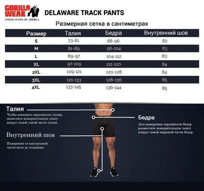 Спортивные мужские штаны  Delaware Track Pants (Black) Gorilla Wear TrP-1140 фото
