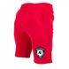 Спортивные мужские шорты Los Angeles Shorts (Red) Gorilla Wear SH-541 фото 1